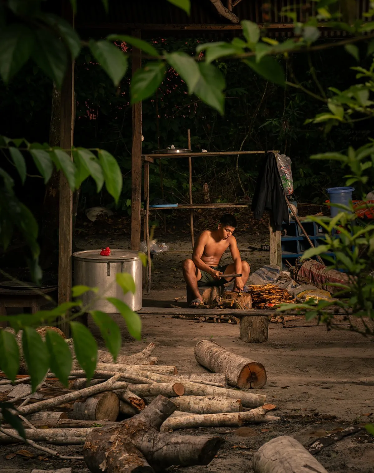 A young man of the family pounding ayahuasca vine on a log before it is cooked